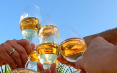 Silvester unter Palmen