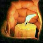 Inselbrief – November 2013 – Achtsamkeit – was ist das?