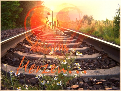 Inselbrief – Januar 2014 – Spontaneität – der Schlüssel zum Leben