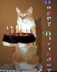 Casa Corazón & Cora Coach feiern Geburtstag – Nutzen Sie den Preisvorteil!!!