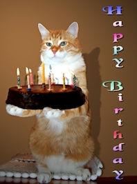 Casa Corazón & Cora Coach feiern Geburtstag – Nutzen Sie den Preisvorteil!!!